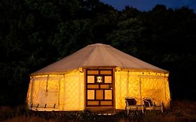 直島町ふるさと海の家 つつじ荘 -Seaside Park Stay Tsutsujiso-